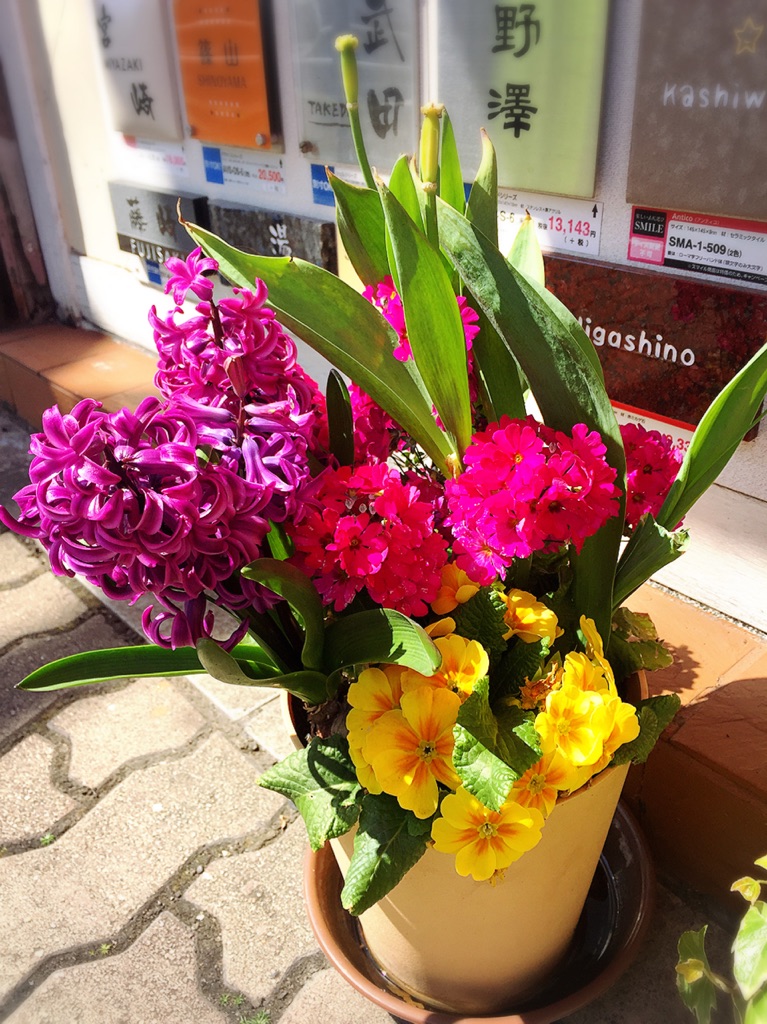 カインズホーム三浦店の外で売ってる花の寄せ植えが結構お得な価格で売っている はんこ屋さん21上大岡店のブログ